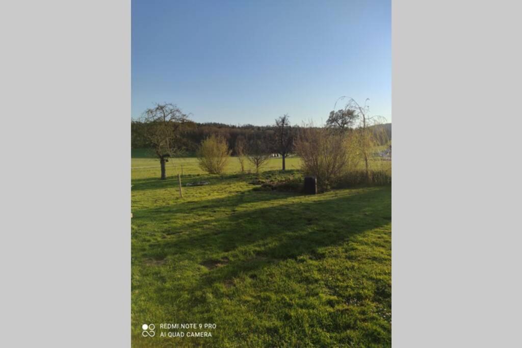 Schoene Helle Ferienwohnung In Waldnaehe Berching Dış mekan fotoğraf
