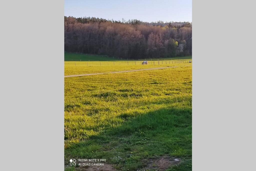 Schoene Helle Ferienwohnung In Waldnaehe Berching Dış mekan fotoğraf